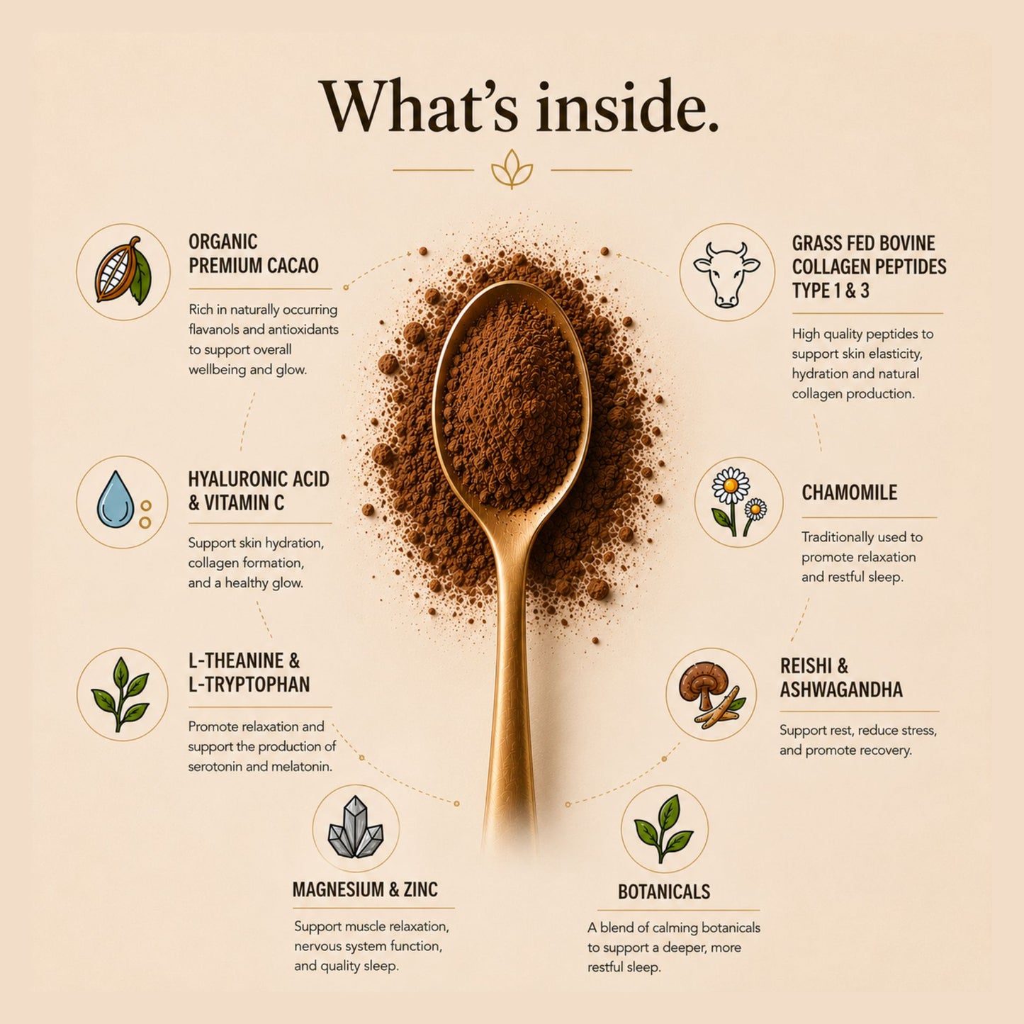 DREAMY Collagen Hot Chocolate